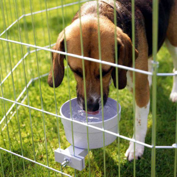 Ecuelle "Crock" – Image 3