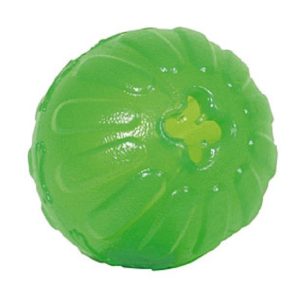 Everlasting Fun Ball