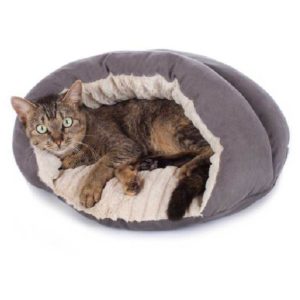 Grotte pour chats Brighton