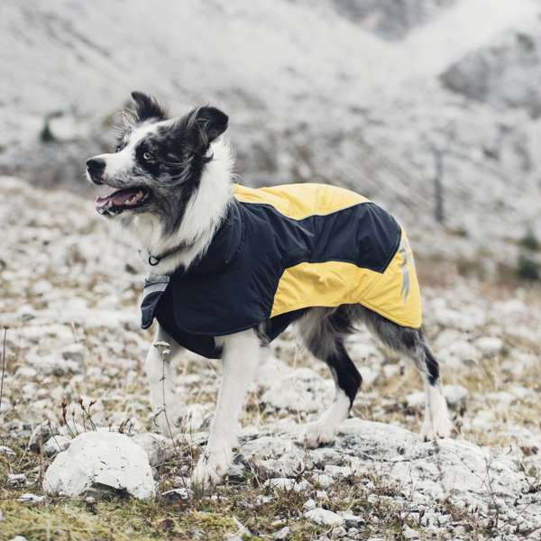 Hurtta, manteau Ultimate Warmer, jaune – Image 4