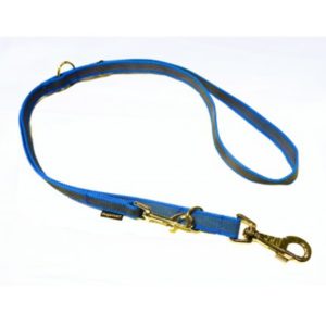 Laisse double antidérapante, bleu