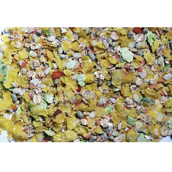 Lecky, 5 Corn Plus – Image 2