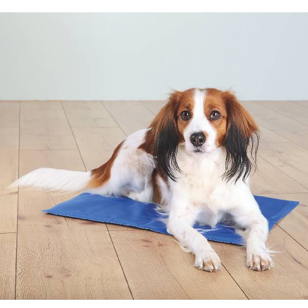 Matelas rafraîchissant – Image 2