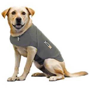Thundershirt pour chiens