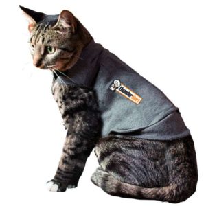 Thundershirt pour chats