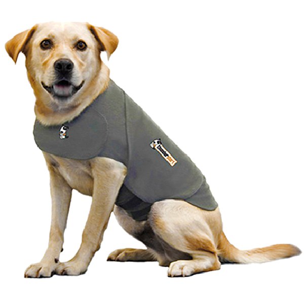 Thundershirt pour chiens