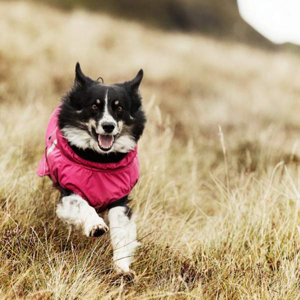 Hurtta, manteau Summit Parka, noir – Image 3