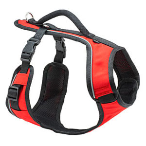 Harnais "EasySport", rouge